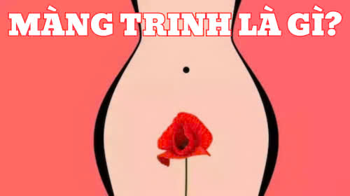 Màng trinh là gì? Sự thật về màng trinh mà bạn cần biết