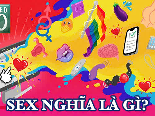Sex nghĩa là gì? Khám phá các khái niệm liên quan đến “sex”