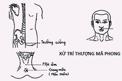 Thượng mã phong là gì trong tình dục?